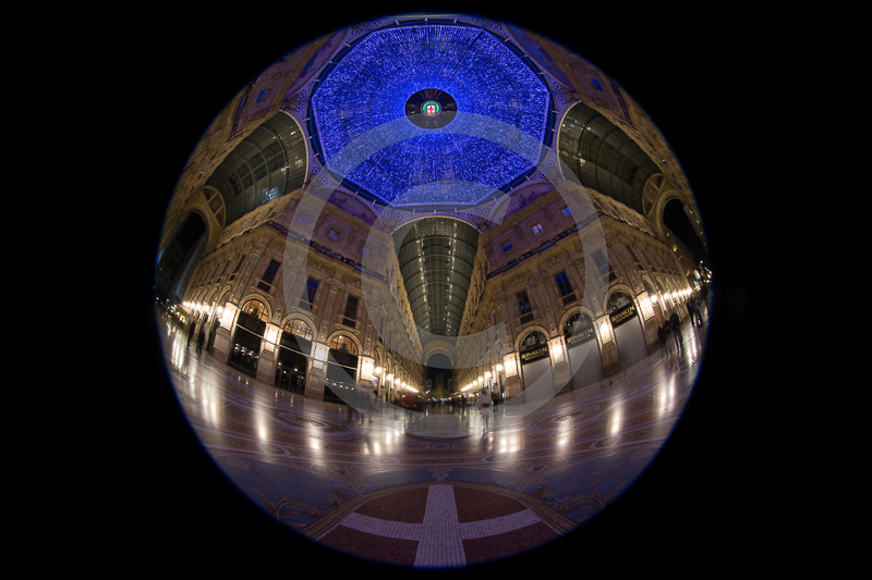 Canon EOS-1D XEF8-15mm f/4L FISHEYE USM8 mm